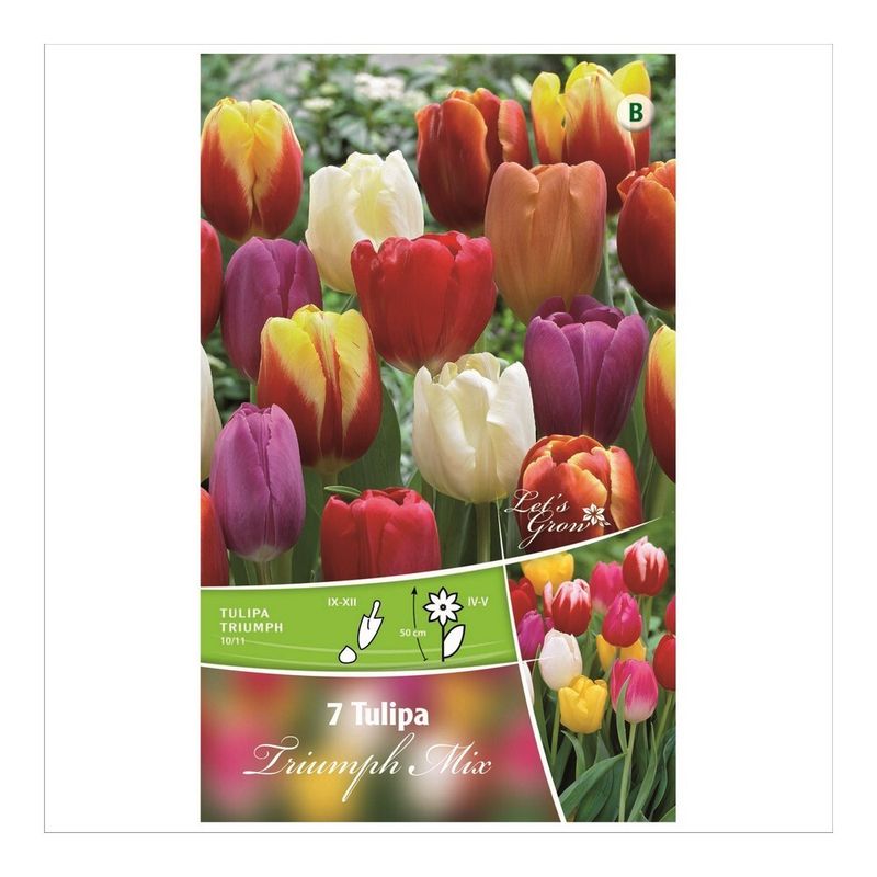 bulbi-de-lalele-florex-marimea-1011-multicolor-8713339144124_1_1000x1000.jpg