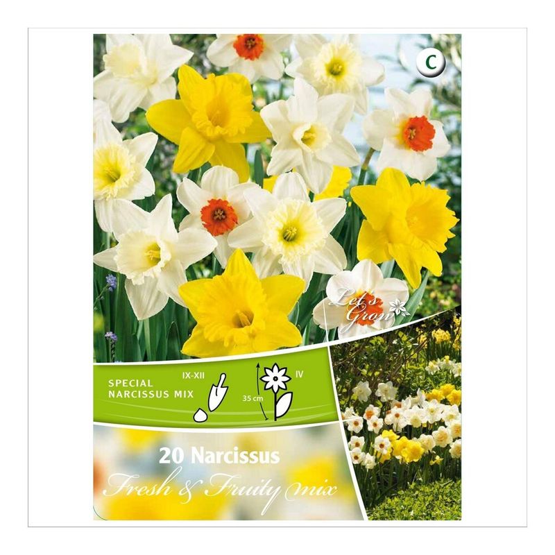 bulbi-de-narcise-florex-marimea-1012-multicolor-8713339144889_1_1000x1000.jpg