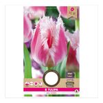 bulbi-de-lalele-florex-marimea-1112-roz-alb-8713339970105_1_1000x1000.jpg