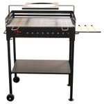 grill-premium-fm-pe-roti-67x40-cm-8957193289758.jpg