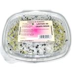 germeni-de-ceapa-germalex-50-g-8904782315550.jpg