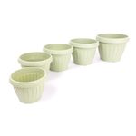 ghiveci-harplast-dalia-180-verde-oliv-8895457853470.jpg