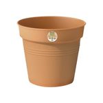 ghiveci-elho-terra-17-cm-8895939575838.jpg