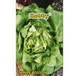 seminte-hobby-de-salata-white-boston-8941496795166.jpg
