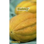 seminte-hobby-de-pepene-galben-ananas-8941502824478.jpg