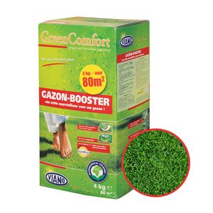 Ingrasamant Viano booster pentru gazon, 4 Kg