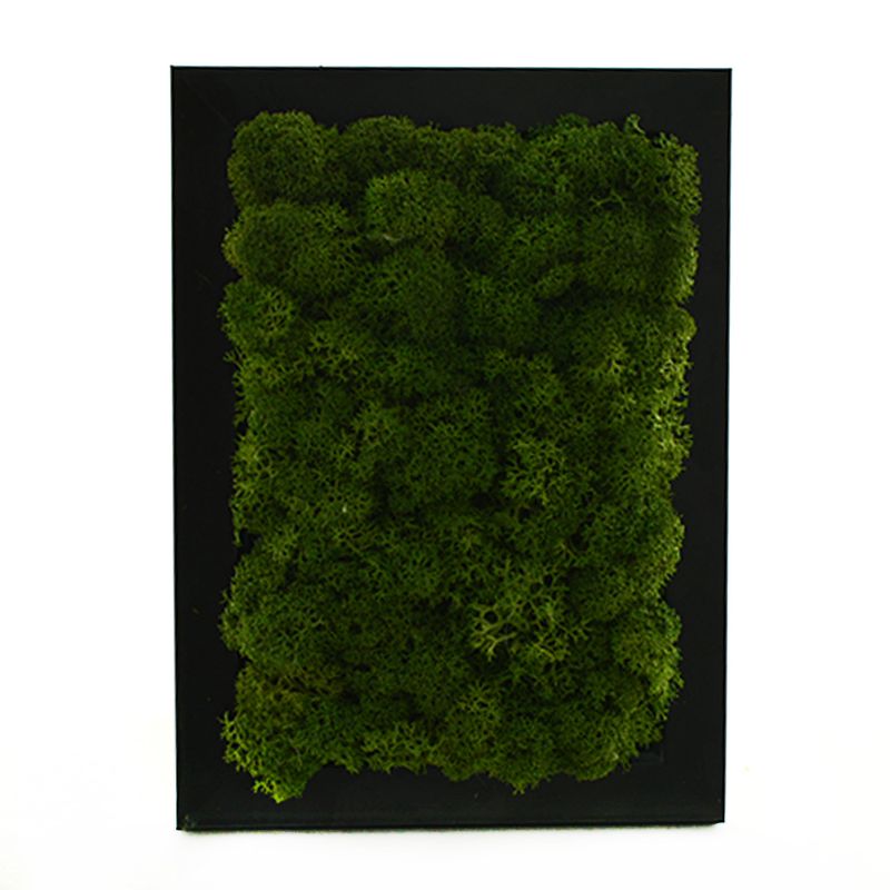 rama-licheni-prezervati-10-x-15-cm-8862220943390.jpg