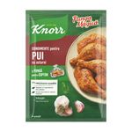 mix-knorr-friptura-pui-cu-usturoi-28-g-9458691964958.jpg