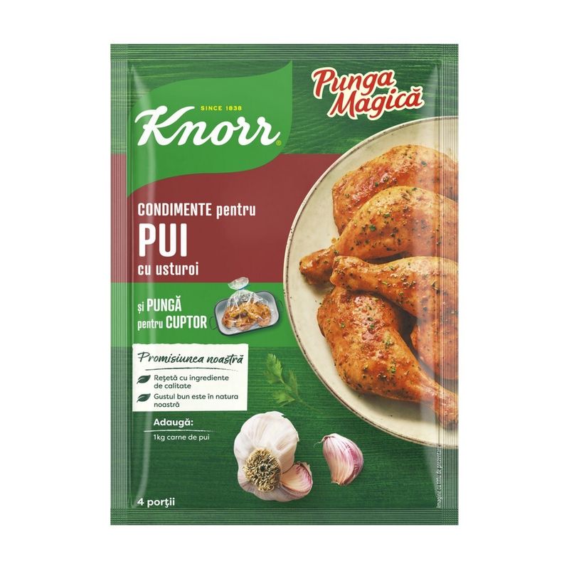 mix-knorr-friptura-pui-cu-usturoi-28-g-9458691964958.jpg