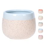 masca-ceramica-koopman-cu-bordura-colorata-diverse-culori-8898591293470.jpg
