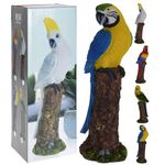 pasari-tropicale-decorative-koopman-diverse-specii-8898586312734.jpg