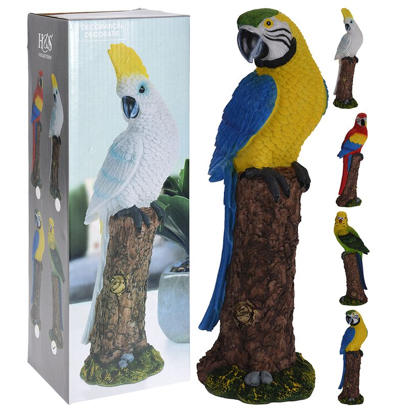 pasari-tropicale-decorative-koopman-diverse-specii-8898586312734.jpg