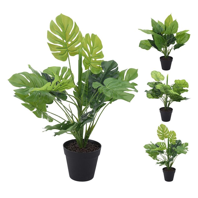 planta-decorativ-koopman-artificiala-diverse-specii-8898585788446.jpg
