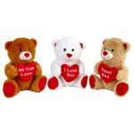 ursulet-de-plus-design-cu-inima-si-mesaj-25-cm-diverse-modele-8888499896350.jpg