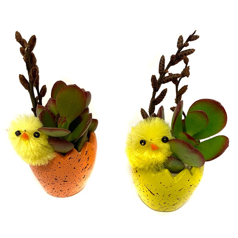 planta-in-ghiveci-decorativa-succulent-mini-in-ceramics-8903630782494.jpg