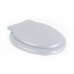 capac-wc-romtaty-unic-gri-39-x-48-x-5-cm-8875714314270.jpg