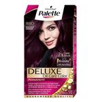vopsea-de-par-palette-deluxe-880-8923810103326.jpg