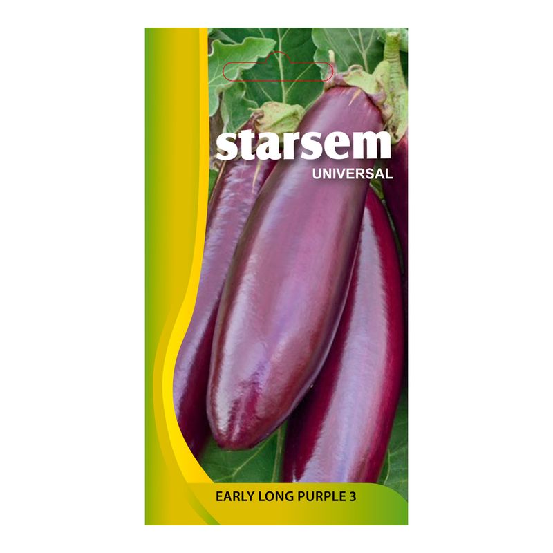 vinete-early-long-purple-3-starsem-8902961365022.jpg
