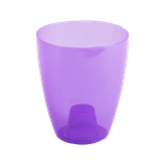 ghiveci-miltonia-133-lavanda-8853151776798.png