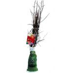 arbust-fructifer-catina-8954513653790.jpg