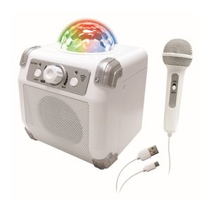Sistem karaoke cu microfon One Two Fun