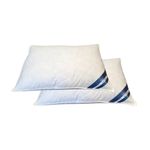 set-2-perne-din-pana-de-gasca-somnart-50-x-70cm-6420624020385_1_1000x1000.jpg