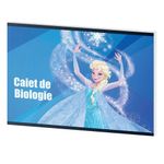 caiet-capsat-pigna-de-biologie-cu-24-de-file-17-x-24-cm-model-frozen-8851956039710.jpg