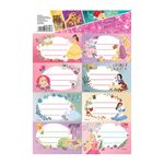 set-40-de-etichete-scolare-pigna-disney-princess-8851560464414.jpg