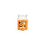 lumanare-parfumata-in-pahar-cu-capac-de-sticla-aroma-de-orange-bispol-100h-5906927027265_1_1000x1000.jpg