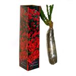 trandafiri-altoiti-yurta-top-8899369959454.jpg