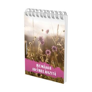 Bloc notes spira Romania neimblanzita cu 50 de file 8 x 12 cm, matematica, diverse modele
