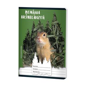 Caiet capsat Romania neimblanzita cu 48 de file A5, dictando, diverse modele