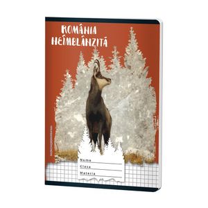 Caiet capsat Romania neimblanzita cu 48 de file A5, matematica, diverse modele