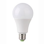 bec-led-total-green-evo17-a60-13w-e27-3000k-8883164938270.jpg
