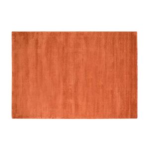 Covor Romasoft Indomex SRL, 80x120cm, Model Terra