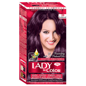 Vopsea de par Lady in Color, nr. 29 Aubergine