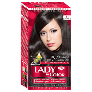 Vopsea de par Lady in Color, nr. 11 Black