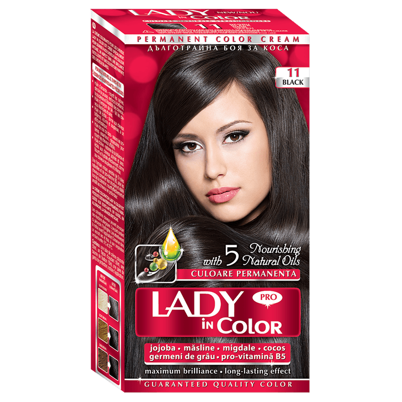 vopsea-de-par-lady-in-color-nr-11-black-8885211430942.png