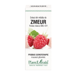 extract-din-mladite-de-zmeur-plant-extrakt-50-ml-8905963012126.png