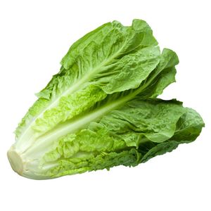 Salata Romaine