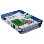 castron-trixie-din-plastic-cu-seminte-de-iarba-100g-8843691261982.jpg