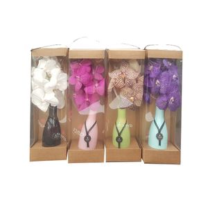Orhidee Vanda in vaza, diverse culori