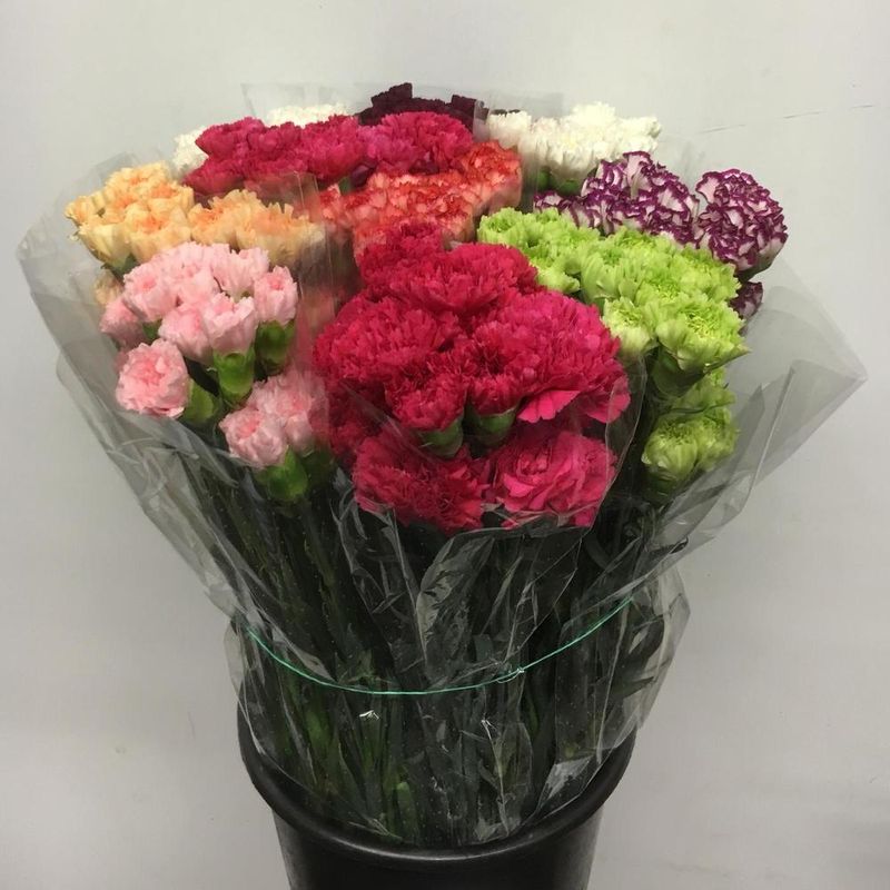 buchet-cu-garoafe-format-din-9-fire-8895479742494.jpg