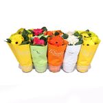 planta-in-ghiveci-decorativa-tisento-gerbera-mix-8904030879774.jpg