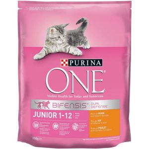 Hrana uscata pisici Purina ONE Junior cu pui si cereale integrale, 800g