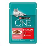 purina-one-mini-file-cu-somon-si-morcovi-in-sos-sterilcat-85-g-8903882997790.jpg