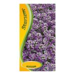 alyssum-violet-8903024672798.jpg