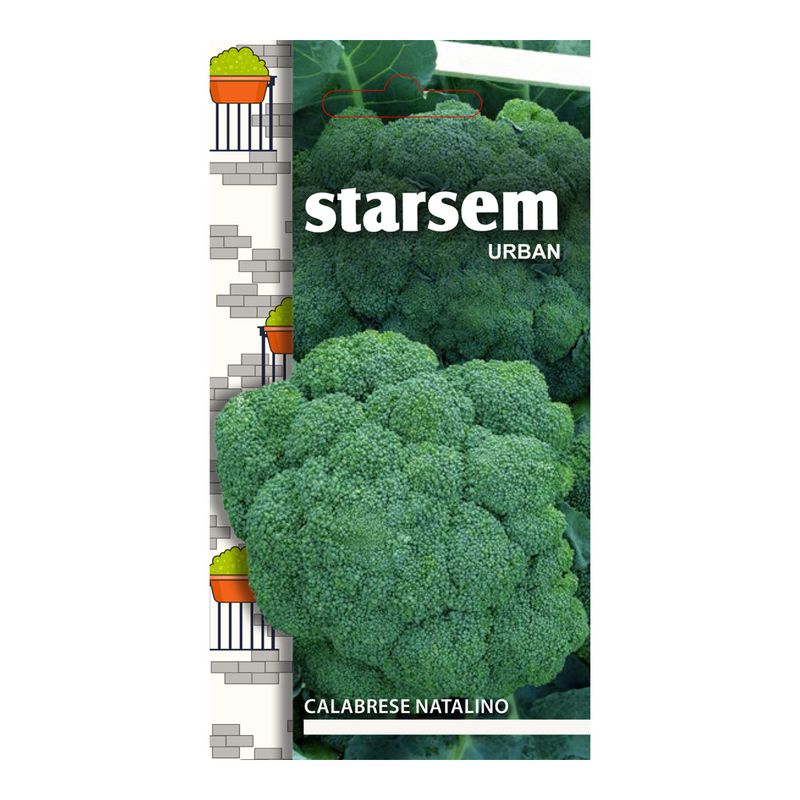 broccoli-calabrese-natalino-8902930825246.jpg