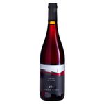 vin-villa-vinea-pinot-noir-clasic-075l-8856811110430.jpg