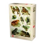 puzzle-1000-enciclopedie-8919613603870.jpg